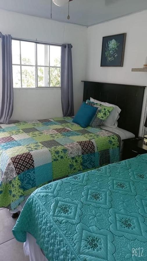 Hostal Jasmin Берлін Екстер'єр фото